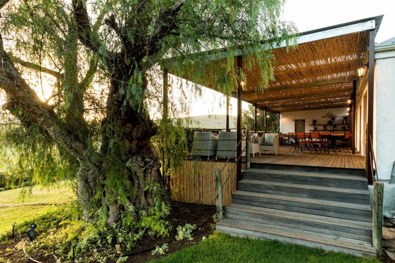 Гостевой дом Swartberg Country Manor Matjiesrivier  Экстерьер фото