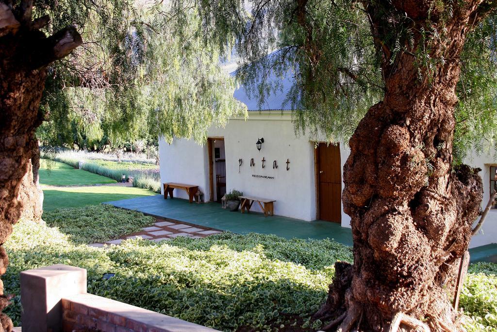 Гостевой дом Swartberg Country Manor Matjiesrivier  Экстерьер фото