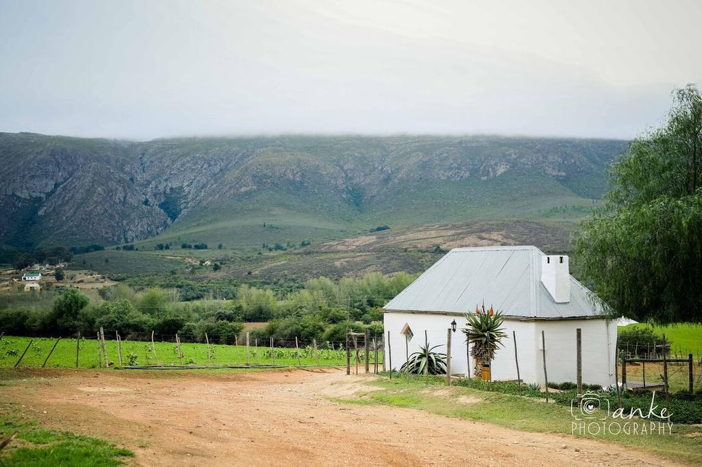 Гостевой дом Swartberg Country Manor Matjiesrivier  Экстерьер фото