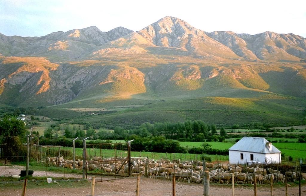 Гостевой дом Swartberg Country Manor Matjiesrivier  Экстерьер фото